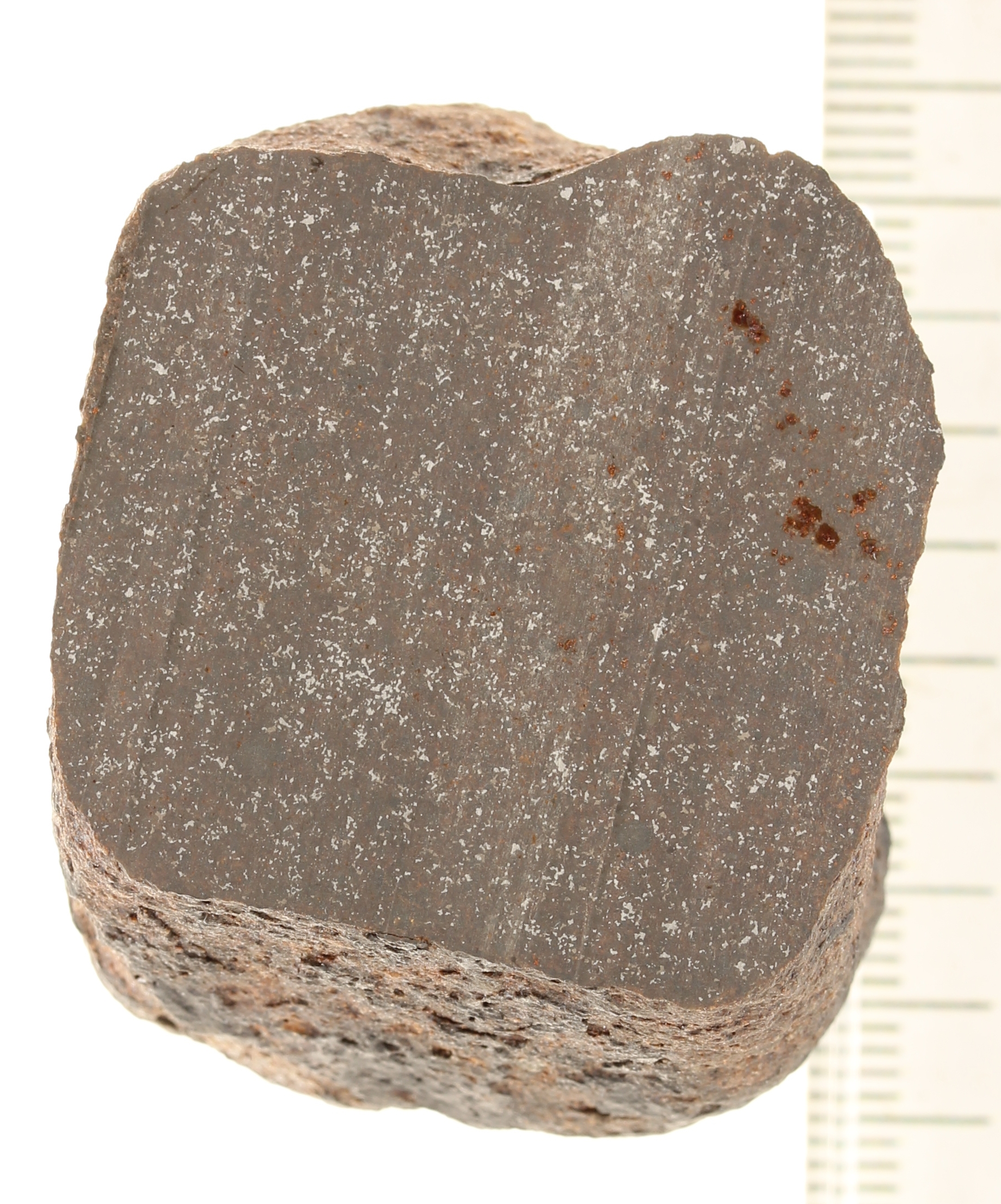 A12351.JPG