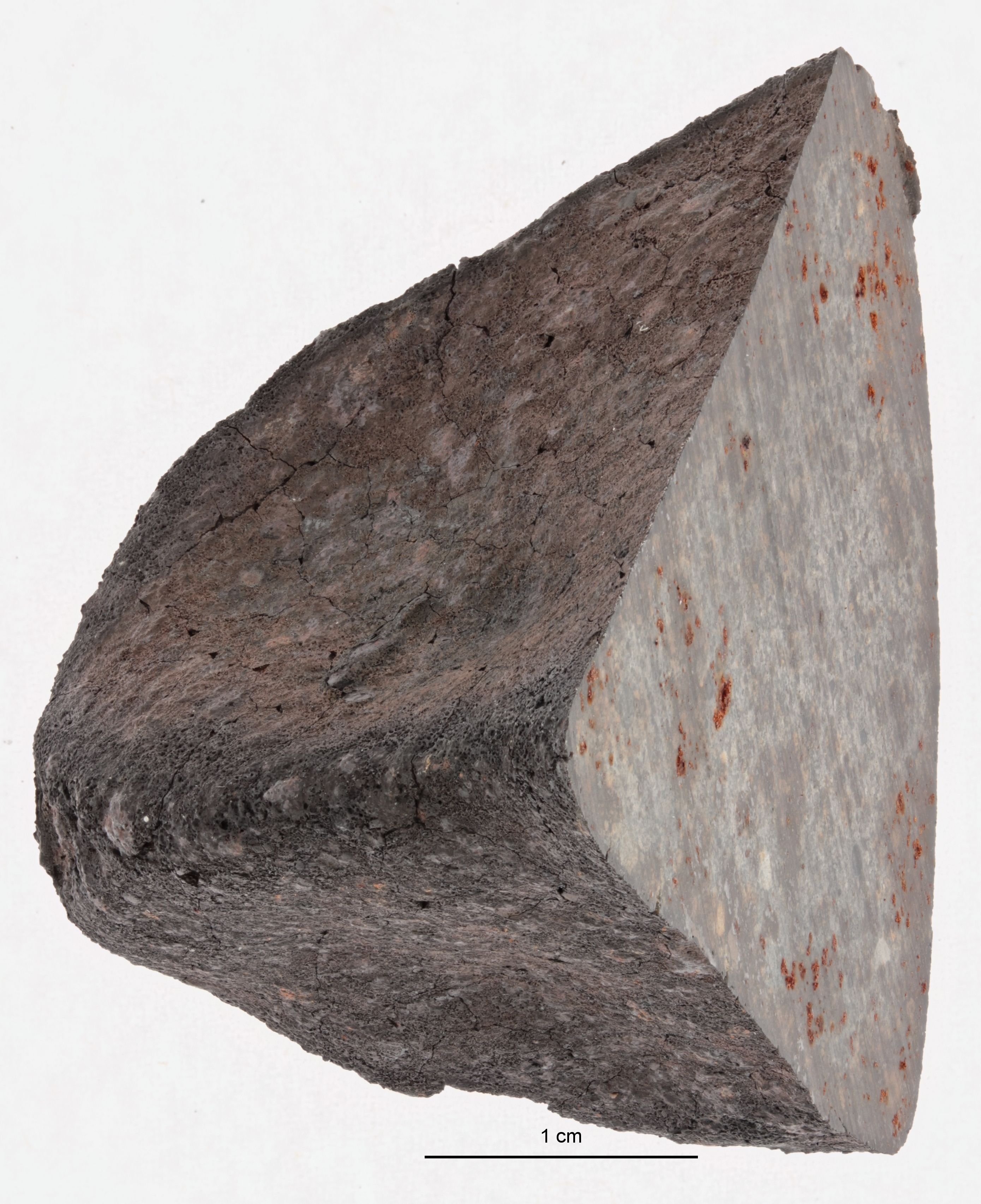 A12370-a.jpg