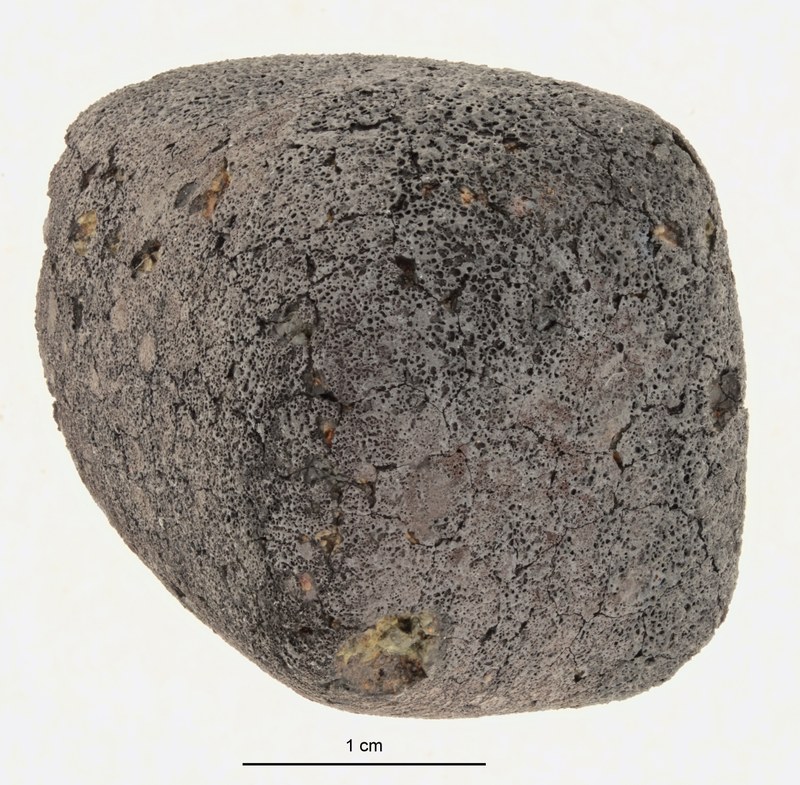 A12373-b.jpg