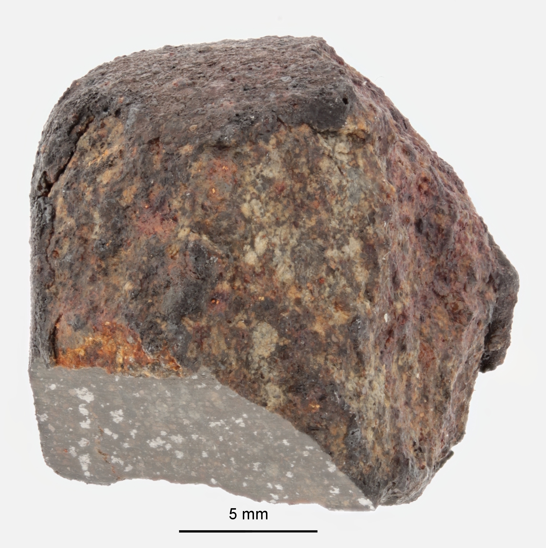 A12375-a.jpg