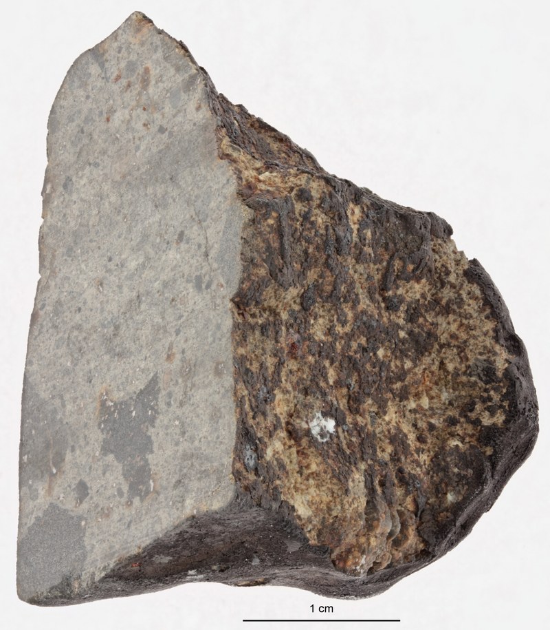 A12392-a.jpg