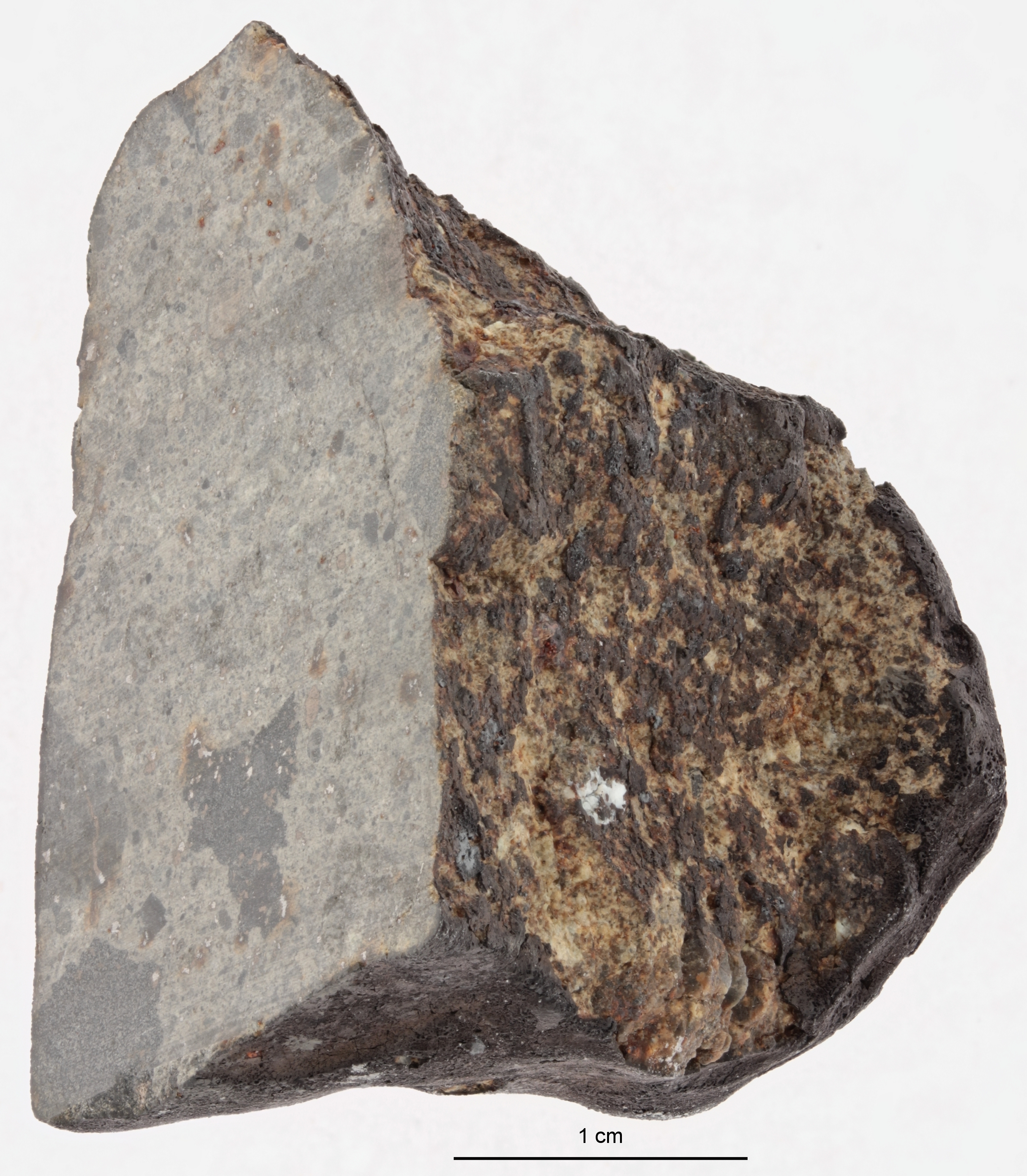 A12392-a.jpg