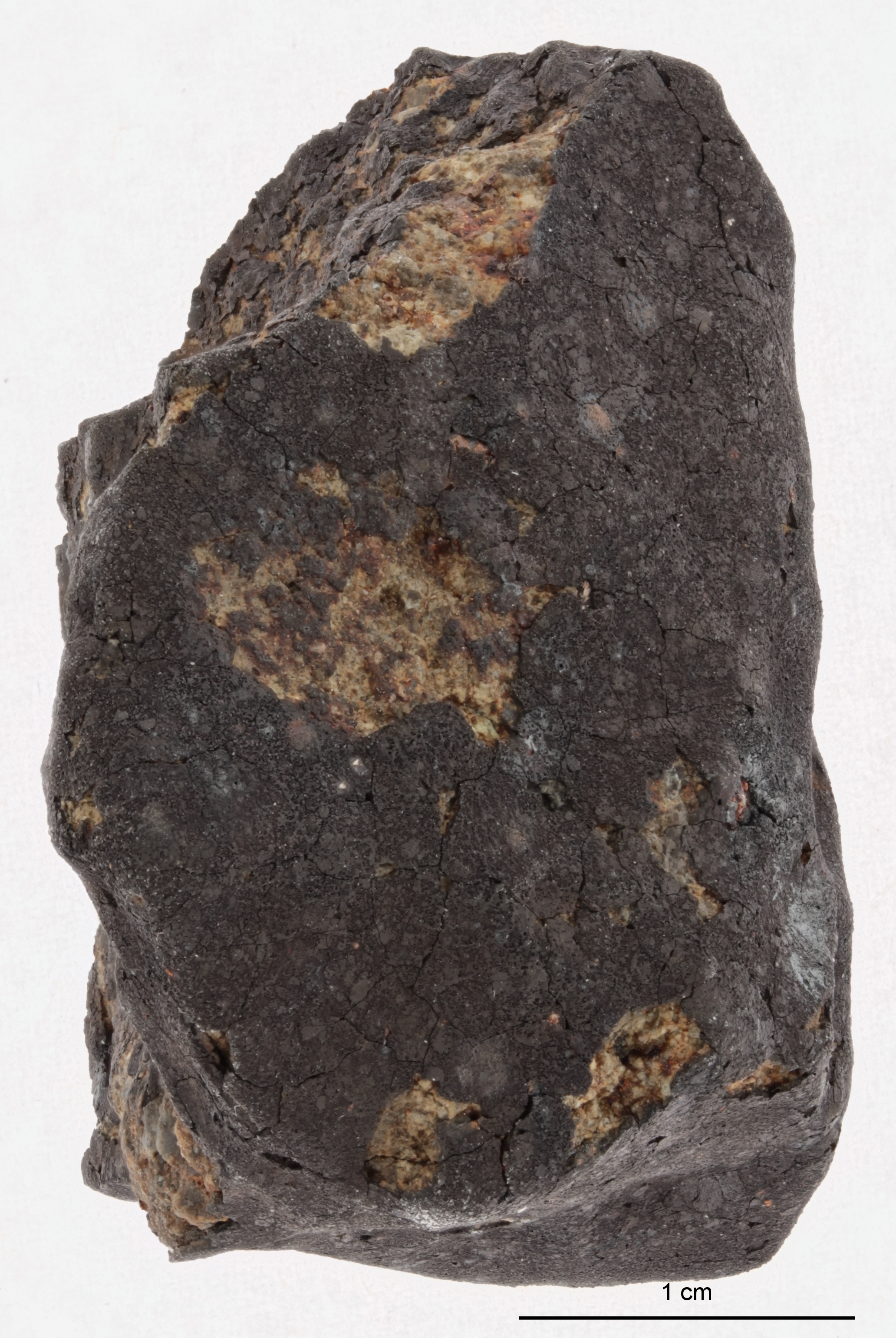 A12392-b.jpg