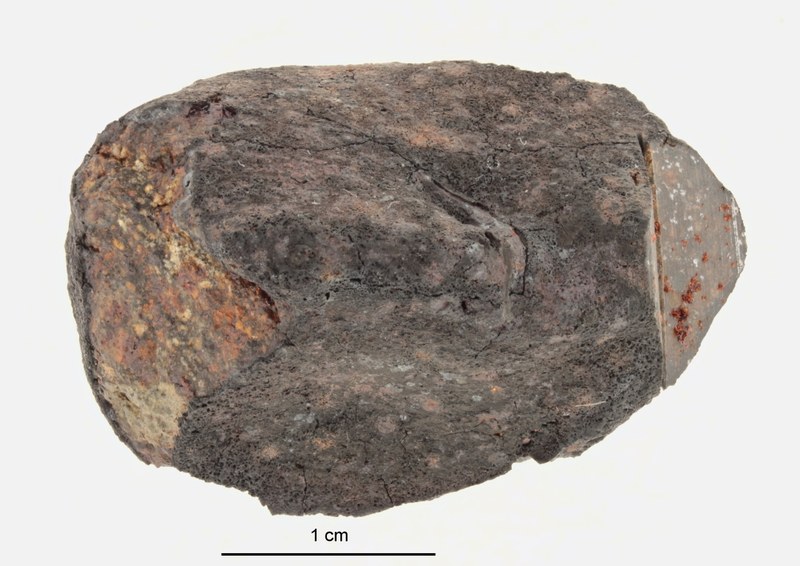 A12398-a.jpg