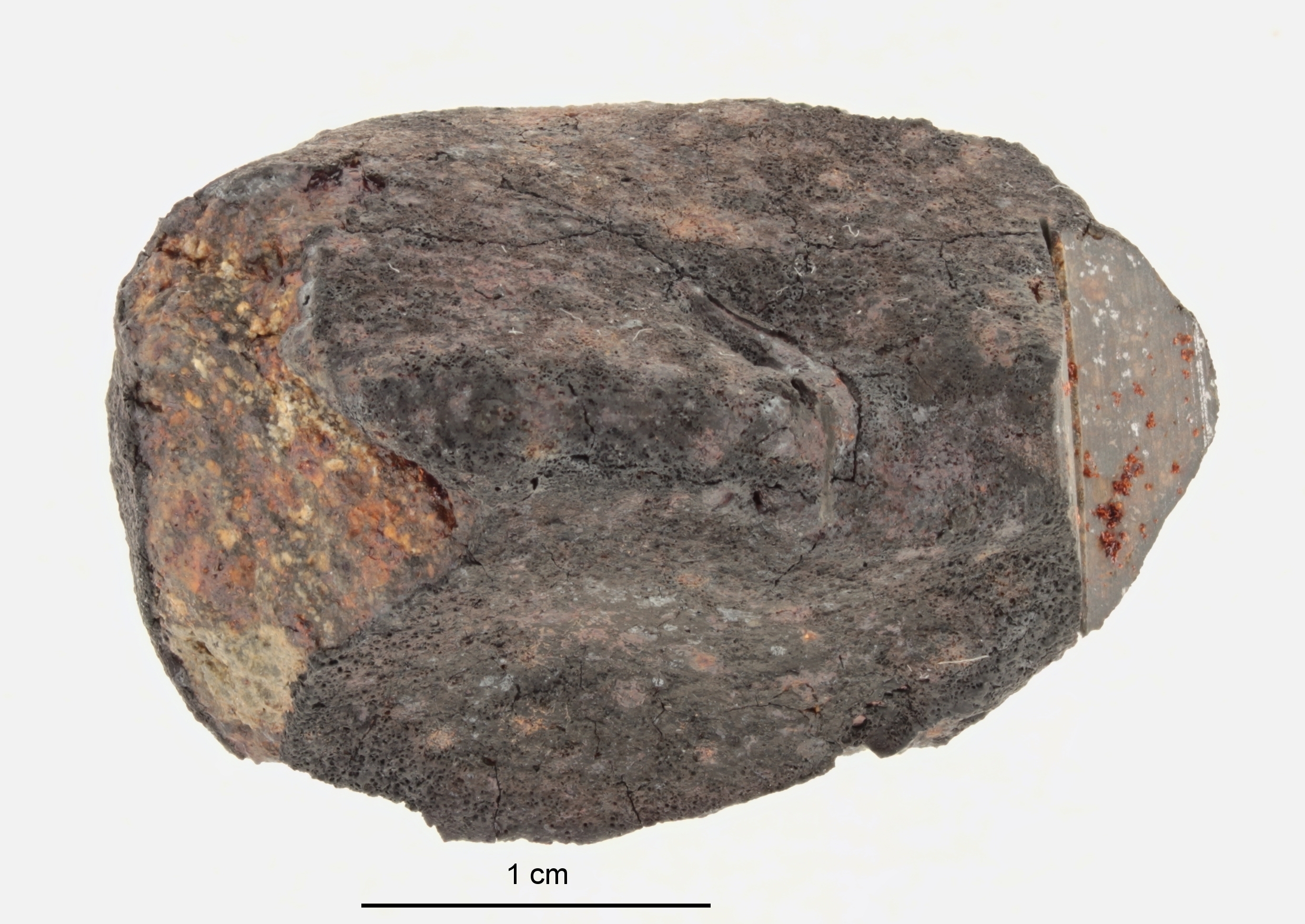 A12398-a.jpg