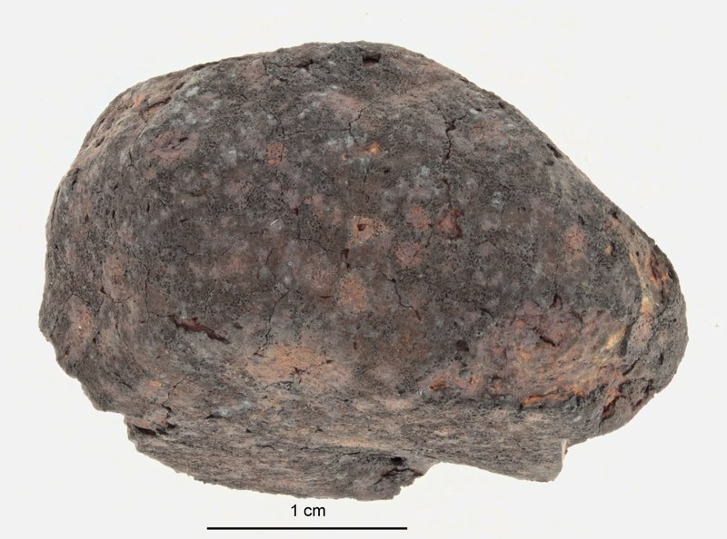 A12398-b.jpg
