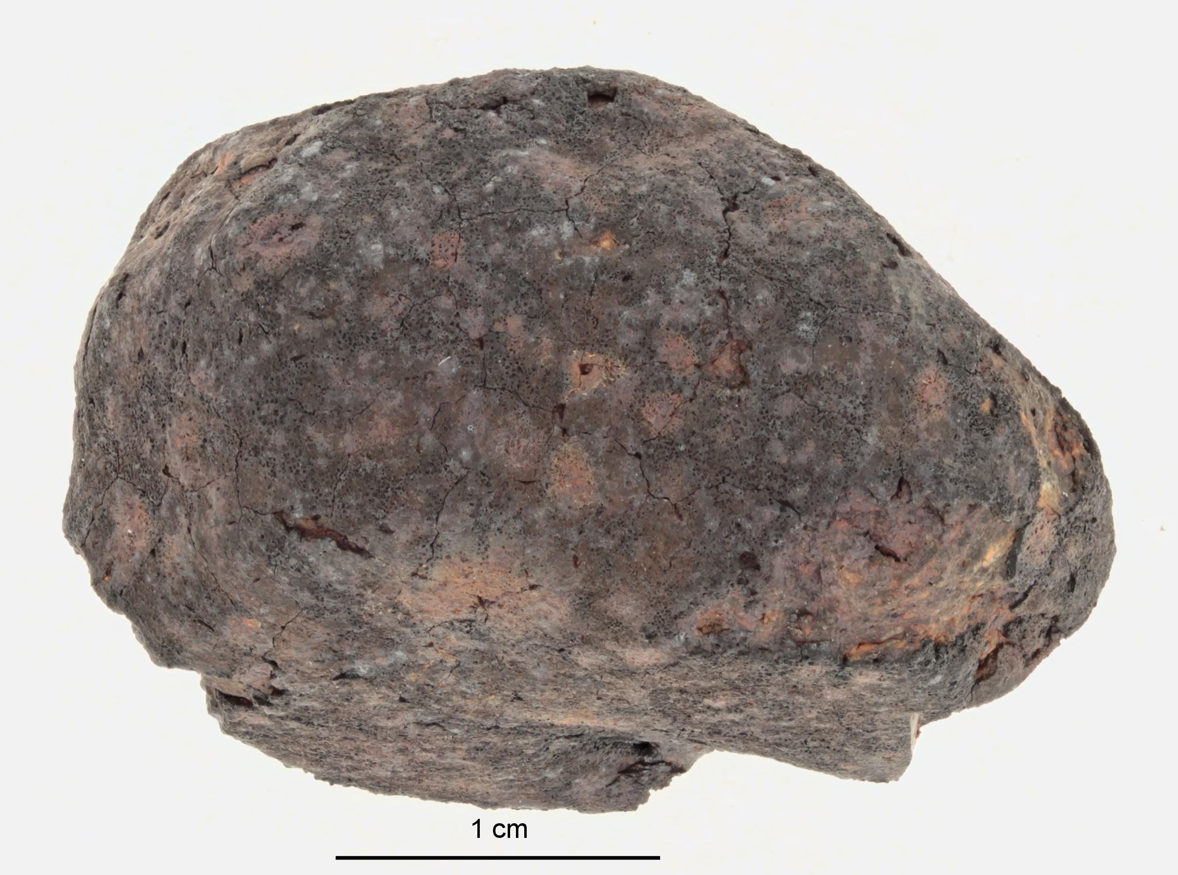 A12398-b.jpg