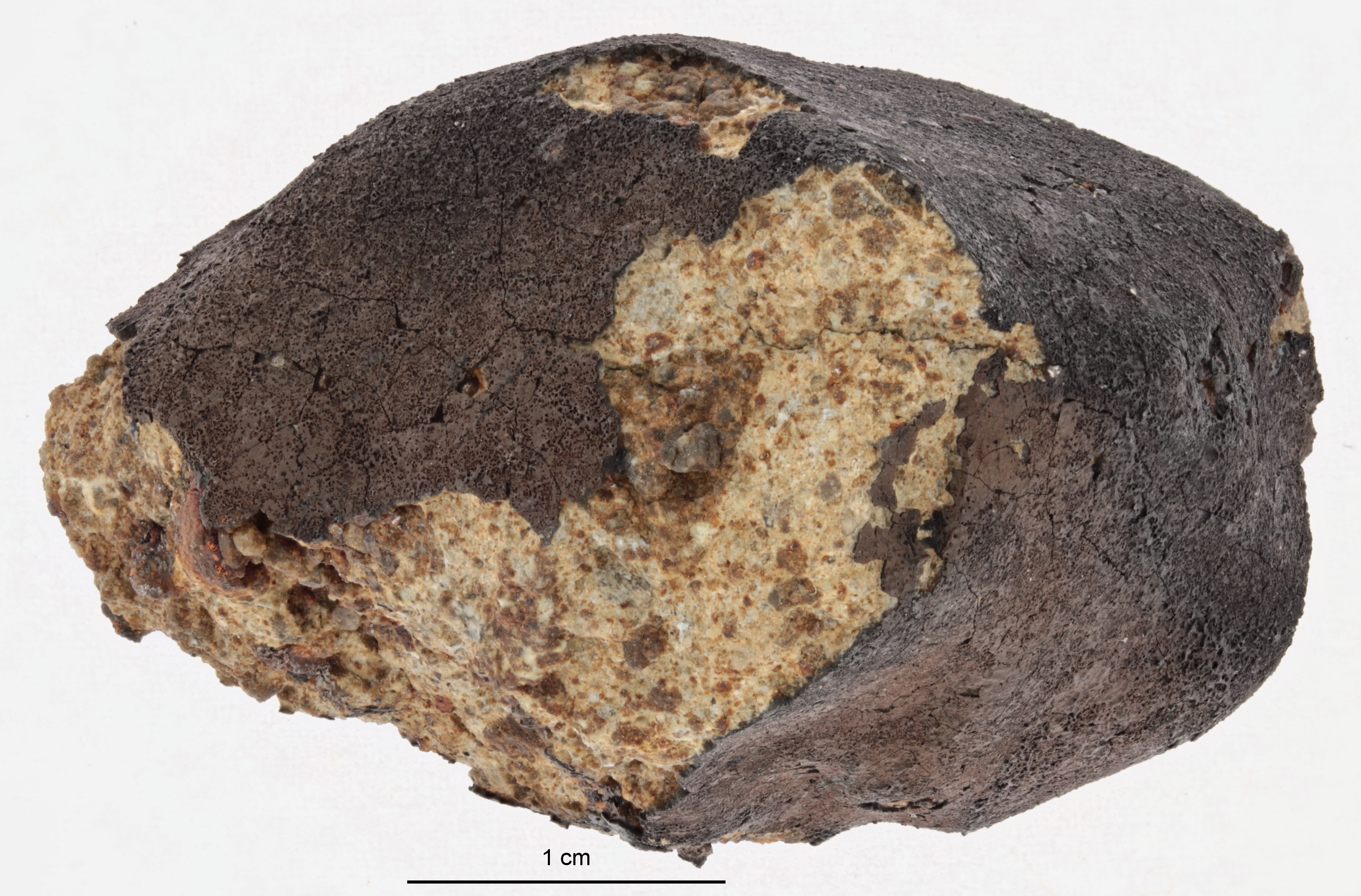 A12421-b.jpg