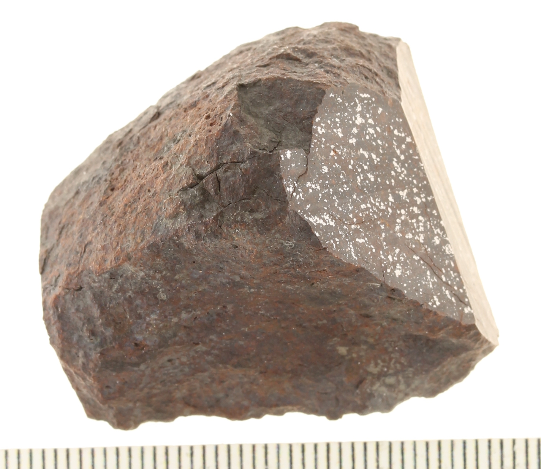 A09436.JPG
