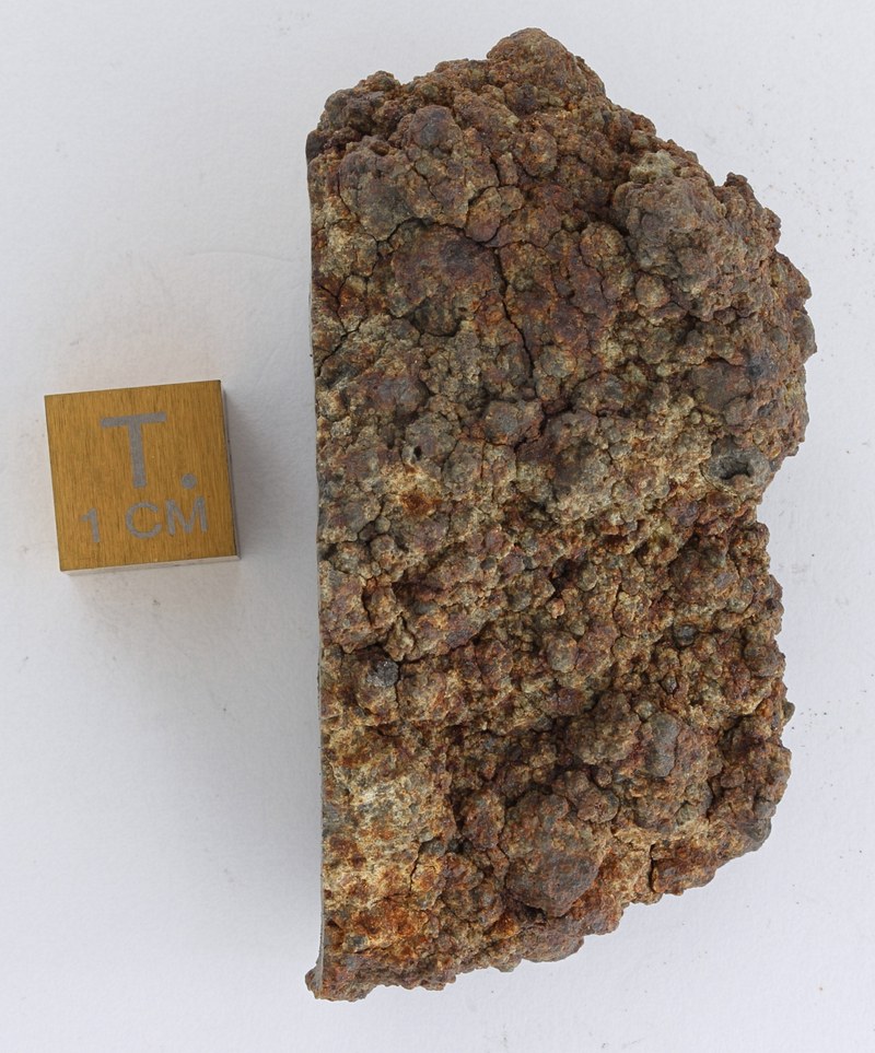 A19017-1.jpg