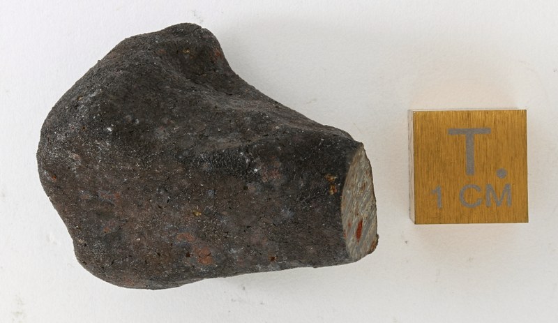 A19060.jpg
