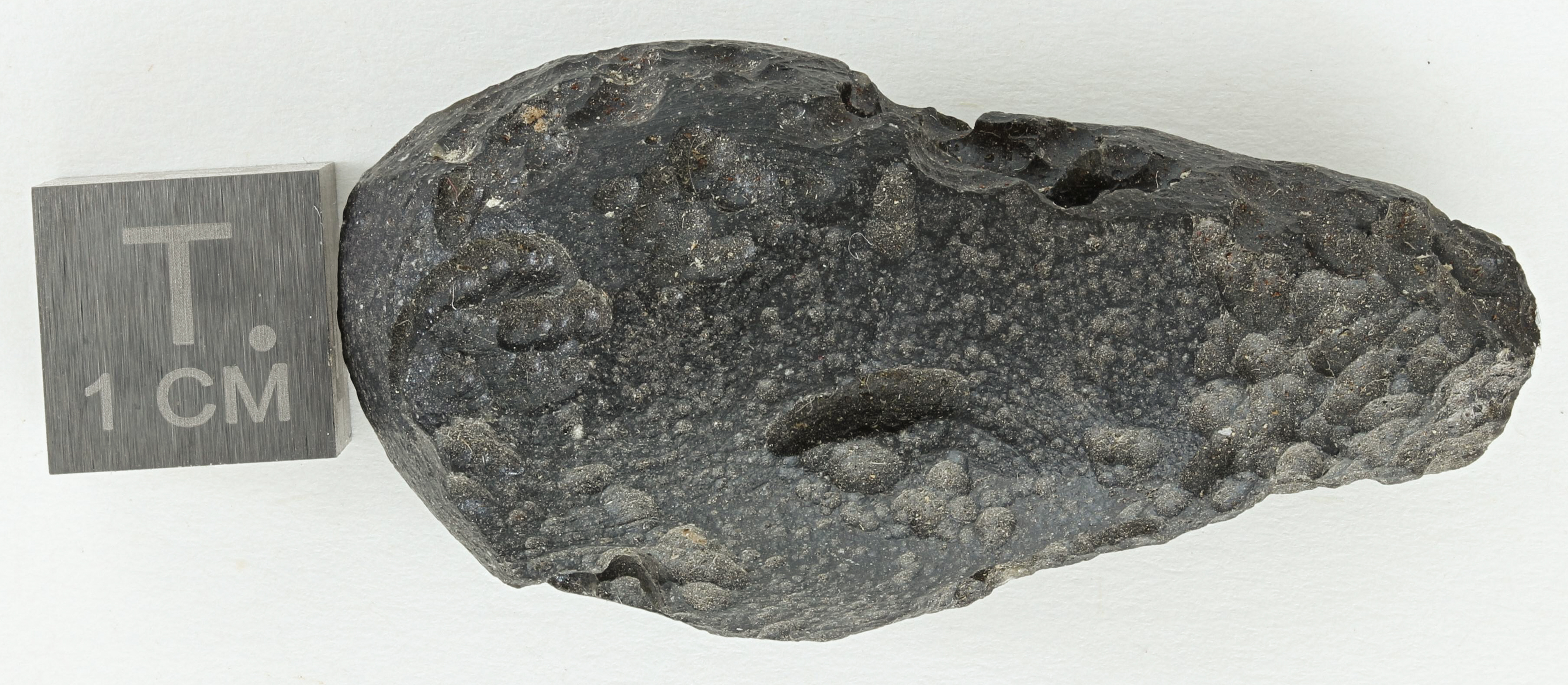 T129.jpg