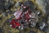 RG---- 28004 Cinnabar - Mercury BB 4.5 .jpg