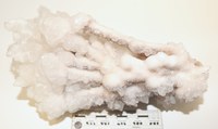 RG0002 b Calcite-Aragonite.jpg RG0002 b Calcite-Aragonite.jpg