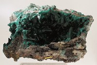 RG0020 Dioptase a.jpg RG0020 Dioptase a.jpg