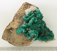 RG0025 Dioptase.jpg RG0025 Dioptase.jpg
