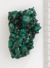 RG0028 Dioptase.jpg RG0028 Dioptase.jpg