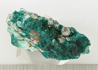RG0031 Dioptase -Quartz Crystals-.jpg RG0031 Dioptase -Quartz Crystals-.jpg