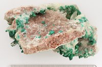 RG0042 Dioptase.jpg RG0042 Dioptase.jpg