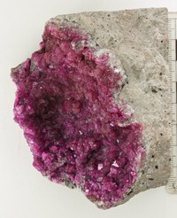 RG0051 Spherocobaltite.jpg RG0051 Spherocobaltite.jpg