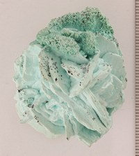 RG0056 Chrysocolla.jpg RG0056 Chrysocolla.jpg