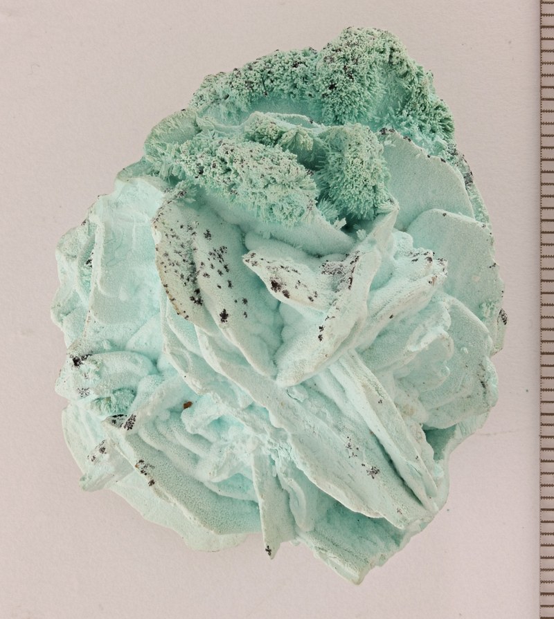 RG0056 Chrysocolla.jpg