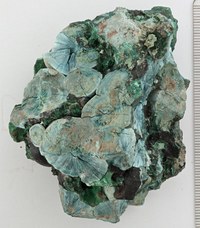 RG0075 Shattuckite.jpg RG0075 Shattuckite.jpg