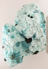 RG0077 Chrysocolla.jpg RG0077 Chrysocolla.jpg