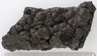 RG0080 Heterogenite.jpg RG0080 Heterogenite.jpg