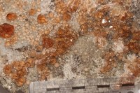 RG0088 Grossular c.JPG RG0088 Grossular c.JPG