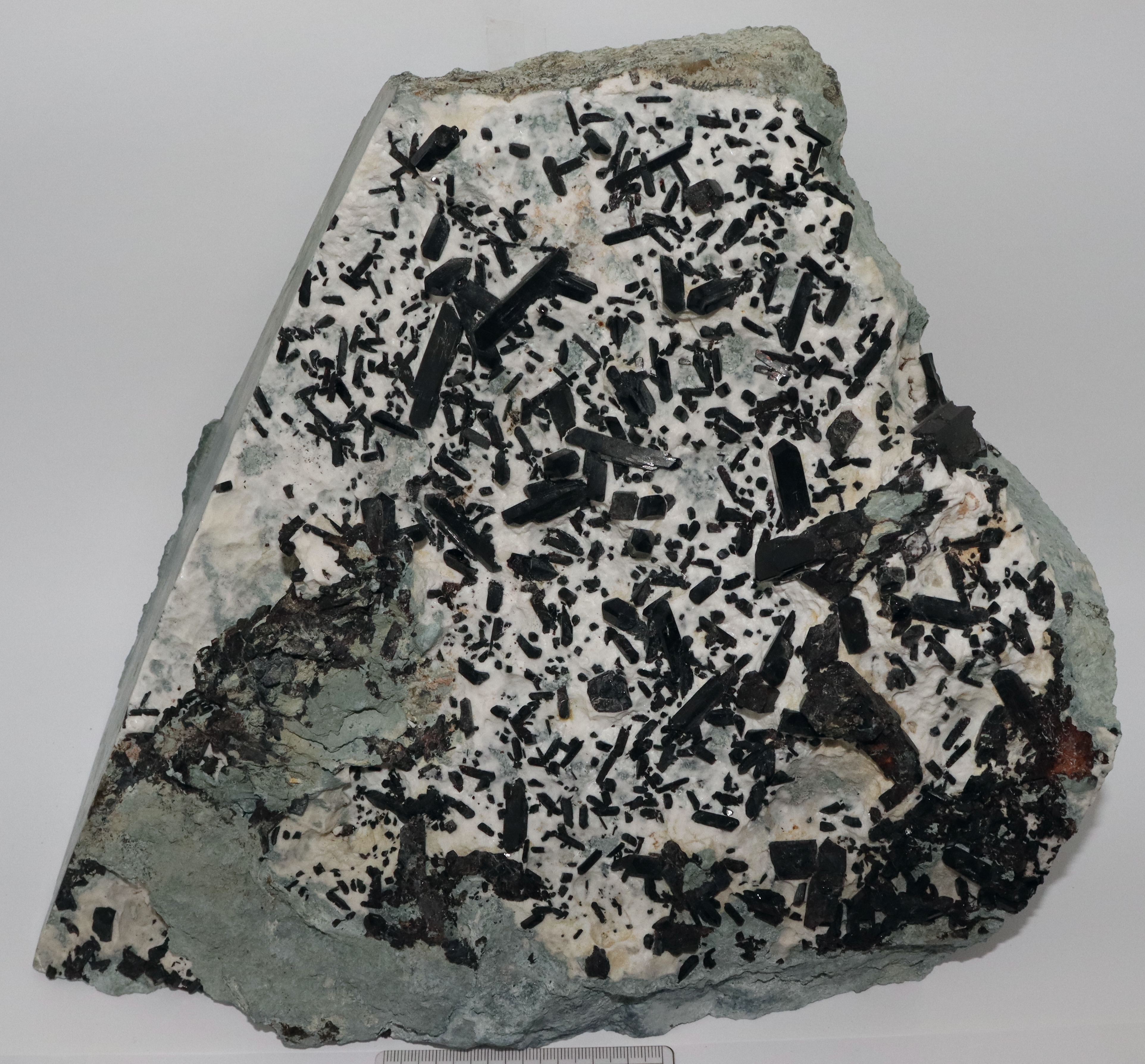 RG0095 Neptunite a.JPG