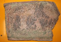 RG0197 Pyrolusite-Manganite.JPG RG0197 Pyrolusite-Manganite.JPG