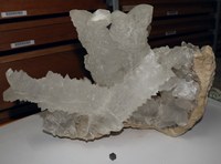 RG0199 Gypsum.JPG RG0199 Gypsum.JPG