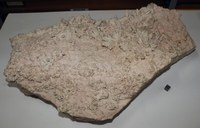 RG0200 Rhodochrosite Calcite.JPG RG0200 Rhodochrosite Calcite.JPG