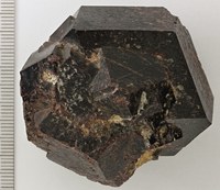 RG0218 Garnet -Group-.jpg RG0218 Garnet -Group-.jpg