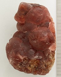 RG0221 Rhodochrosite.jpg RG0221 Rhodochrosite.jpg