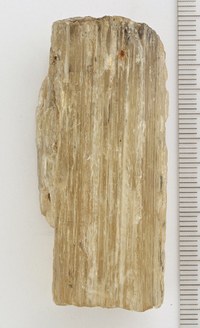 RG0222 Scapolite.jpg RG0222 Scapolite.jpg