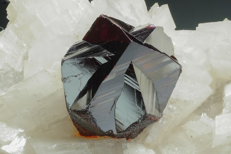 RG0228 27691.cinnabar.jpg