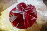 RG0228 27700.cinnabar.jpg RG0228 27700.cinnabar.jpg