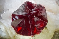 RG0228 27701.cinnabar.jpg RG0228 27701.cinnabar.jpg