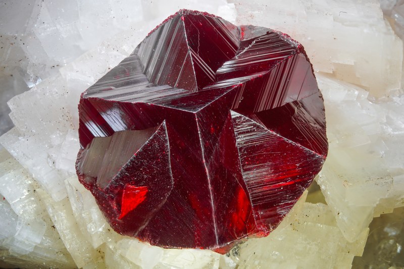 RG0228 27701.cinnabar.jpg