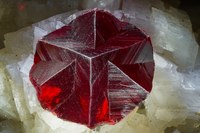 RG0228 27702.cinnabar.jpg RG0228 27702.cinnabar.jpg