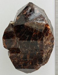 RG0236 Zircon.jpg RG0236 Zircon.jpg