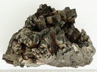 RG0239 Hedenbergite.jpg RG0239 Hedenbergite.jpg