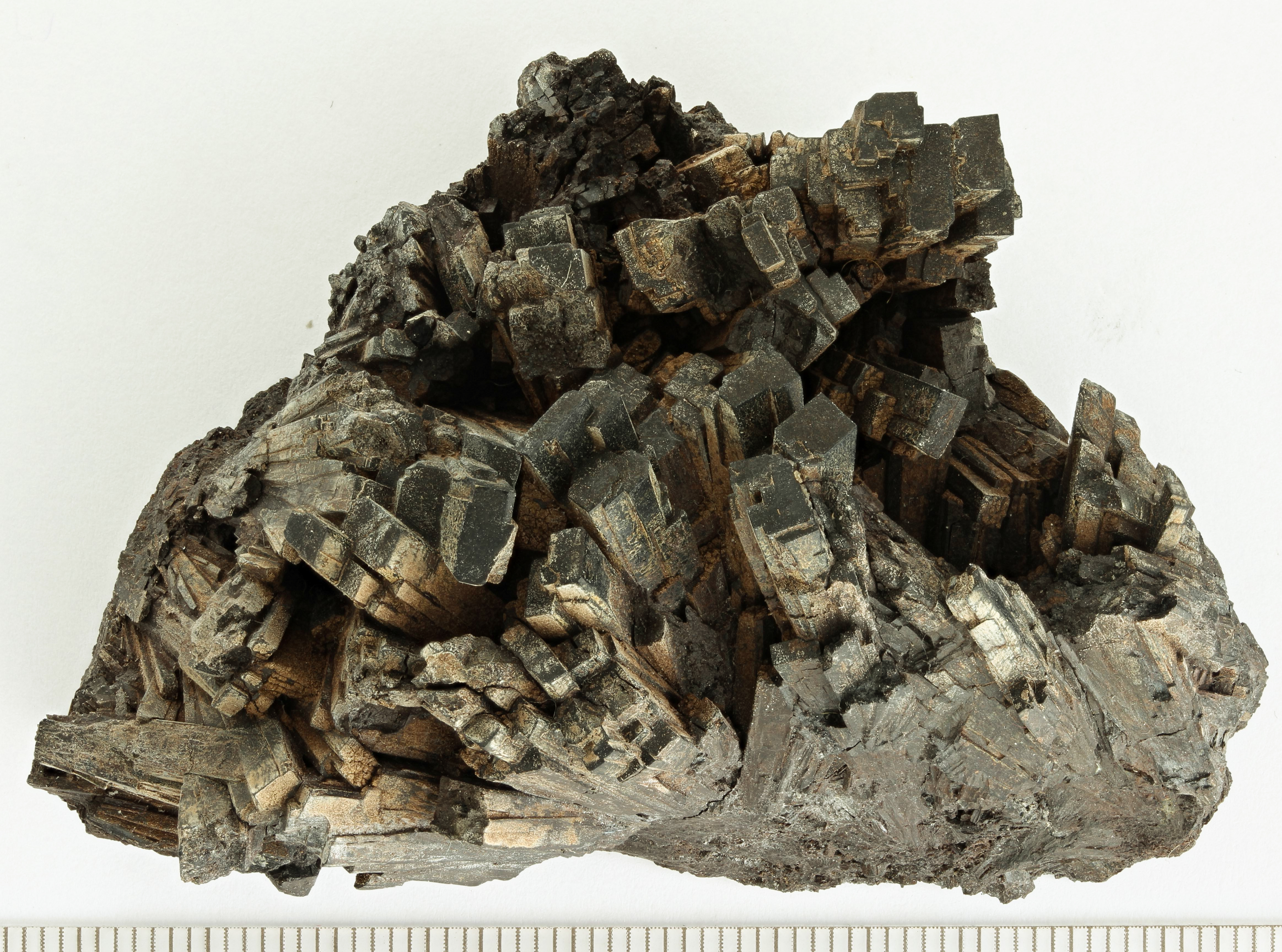 RG0239 Hedenbergite.jpg