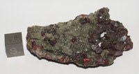 RG0246 Cinnabar.JPG RG0246 Cinnabar.JPG