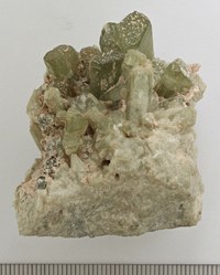 RG0247 Diopside.jpg RG0247 Diopside.jpg