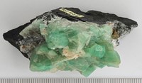 RG0248 Beryl Emerald.jpg RG0248 Beryl Emerald.jpg
