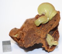 RG0257 Adamite.JPG RG0257 Adamite.JPG