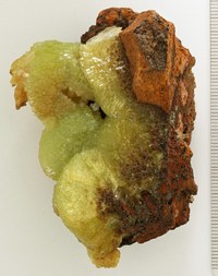 RG0259 Adamite.jpg RG0259 Adamite.jpg